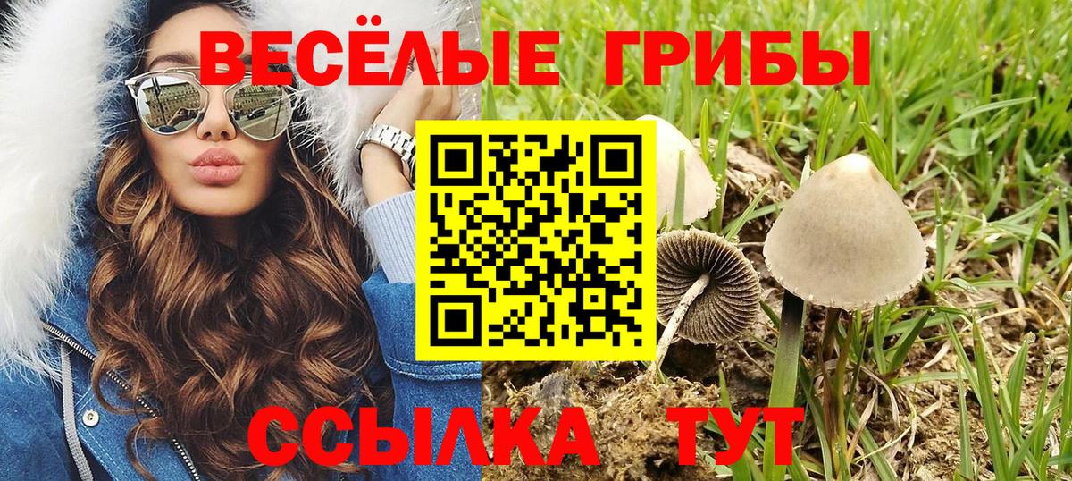Галлюциногенные грибы ЛСД  Вход с VPN  Лабинск 
